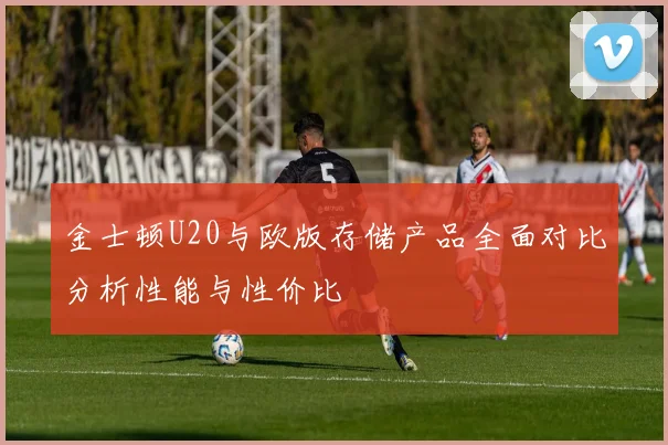 金士顿U20与欧版存储产品全面对比分析性能与性价比